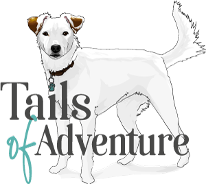 tails-of-adventure-logo-250 tails-of-adventure-logo-250